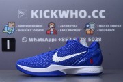 Godkiller Zoom Kobe 6 Protro Dodgers_photo_2025-04-17_18-05-29
