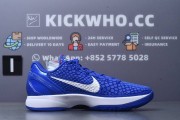 Godkiller Zoom Kobe 6 Protro Dodgers_photo_2025-04-17_18-05-20
