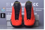 Godkiller Air Jordan 14 Retro Ferrari 654459-670_downloaded_image