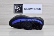 16545034050695