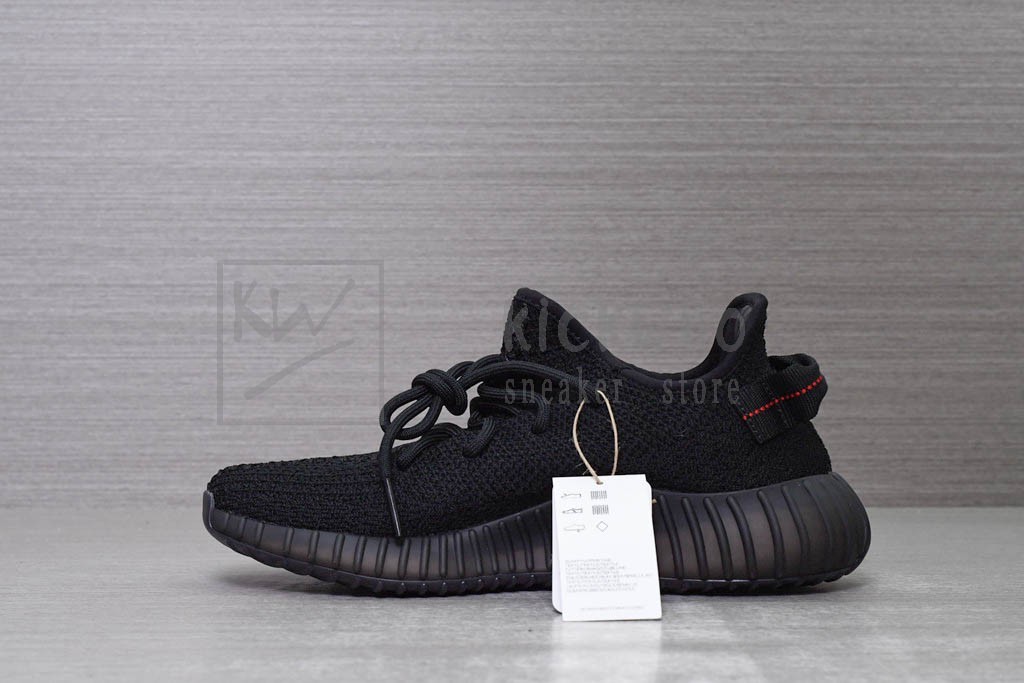 16544996035395
