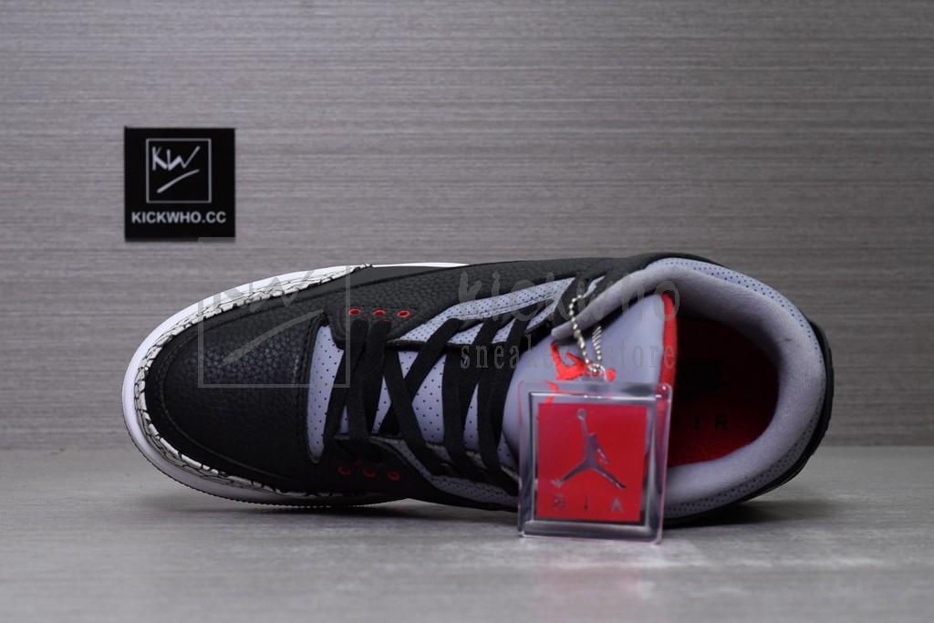 16551701246931
