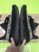 15531753692631