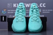 Godkiller Jalen Brunson x Nike Zoom Kobe 6 Protro 'Statue of Lib_downloaded_image